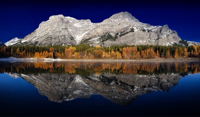 A stunning landscape photograph of a snow-dusted mountain range reflected perfectly in a calm lake, framed by golden autumn larch trees against a deep blue sky.