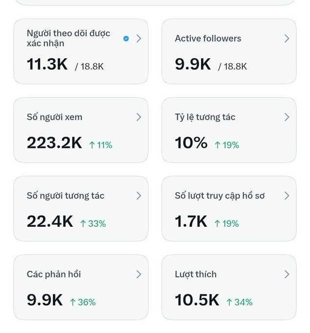 A Vietnamese social media analytics dashboard displaying 11.3K verified followers out of 18.8K, 9.9K active followers, 223.2K views (up 11%), 10% engagement rate, and other engagement metrics.