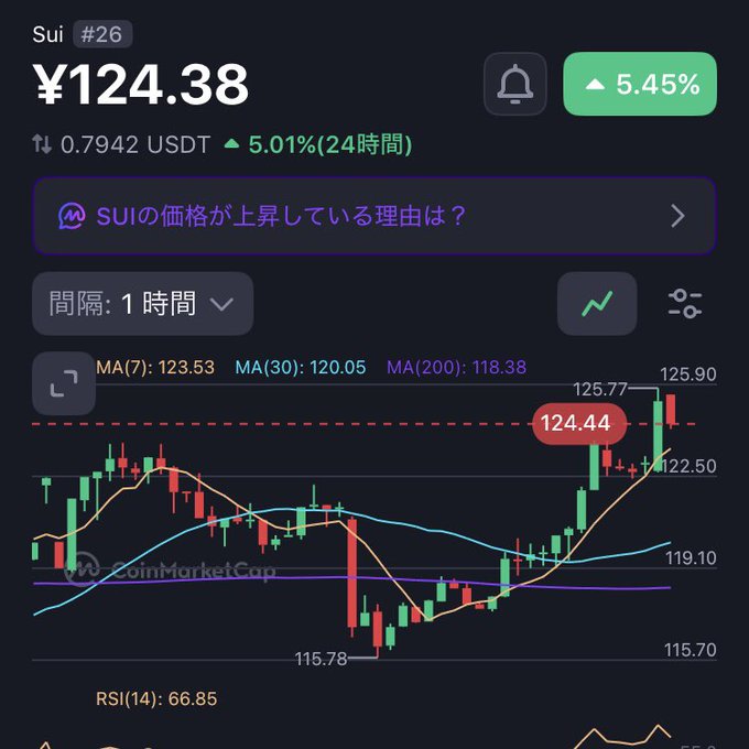 A CoinMarketCap price chart for Sui (#26) showing the token trading at ¥124.38, up 5.45%, with the AI query "SUIの価格が上昇している理由は？" (Why is SUI's price rising?) highlighted—though the post suggests holders remain skeptical despite the recent 5.01% 24-hour gain, expressing frustration that SUI has been outperformed by the newer HYPE token from 2023 to 2024.