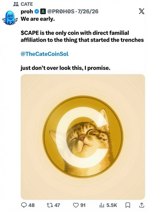 This image is a screenshot of a tweet from @PROHOS on 7/26/26, promoting "$CAPE" with a picture of a cat on a coin, relating to the accompanying post's mention of "$CATE" and "billion dollar meme."