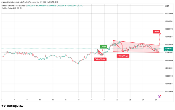 A TradingView chart for SHIB/USDT on Binance shows a 1-hour candlestick chart annotated with three 'Falling Wedge' patterns and 'Target' zones, indicating technical analysis posted by 'srigolbangladesh'.