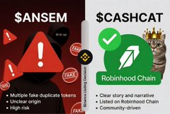 The image contrasts "$SANSEM," depicted with a red warning triangle and fraud/easy attributes, against "$CASHCAT," marked as "Robinhood Chain" community-driven and listed on Robinhood Chain, featuring a cat in a crown logo. The accompanying post details a trader's continued losses on $CASHCAT, contrasting its "community-driven" image with the trader's significant losses and skepticism about the project's authenticity.