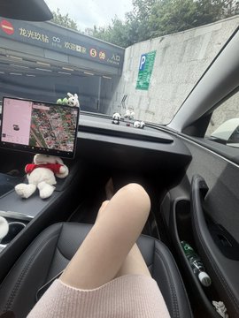 A view from inside a car showing someone's legs in a pink skirt, with a road sign displaying Chinese characters including '龙光城站' (Longguang Cheng Station) visible outside.