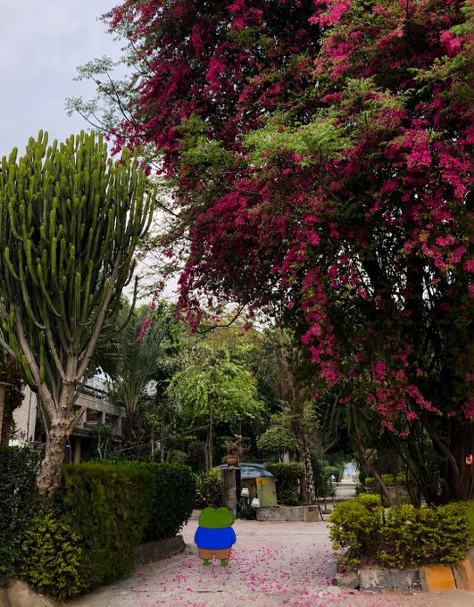 A pathway lined with lush greenery, a tall cactus-like tree on the left, and a vibrant magenta bougainvillea tree overhead, with a small cartoon character edited onto the path.