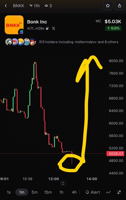 A mobile chart of the BNKK token ("Bonk Inc", MC $5.03K) showing a dramatic price surge circled and annotated in yellow marker, rising from around 5026 to over 8000.