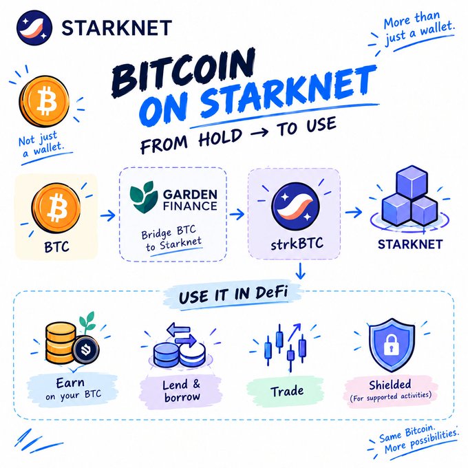 An infographic illustrating how Bitcoin can be bridged to Starknet via Garden Finance to become strkBTC, then used across DeFi for earning, lending, borrowing, trading, and shielded activities. Key text includes "BITCOIN ON STARKNET," "FROM HOLD → TO USE," "Bridge BTC to Starknet," and "More than just a wallet," reinforcing the post's message that BTC doesn't need to sit idle.