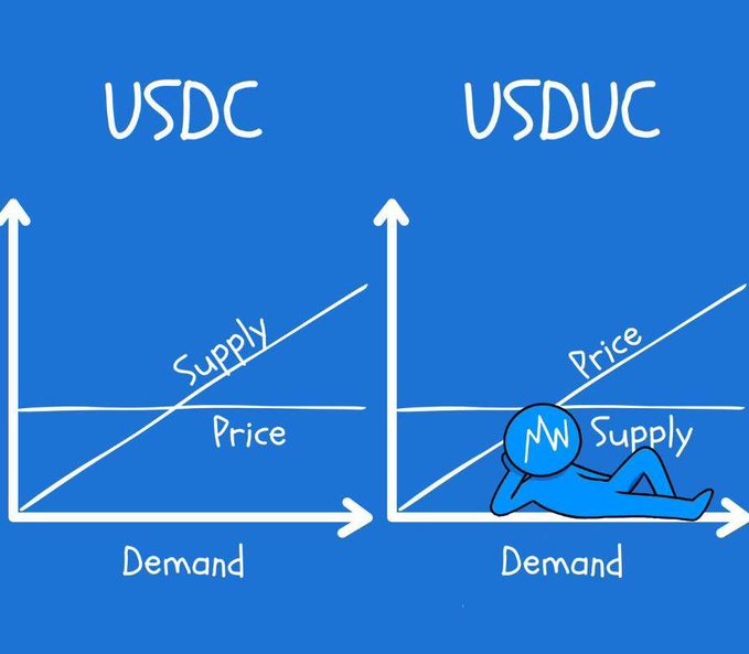 Two hand-drawn supply and demand graphs comparing 'USDC' and 'USDUC', where the USDUC graph shows a slumped 'NW' figure resting on the demand curve below a rising supply line.