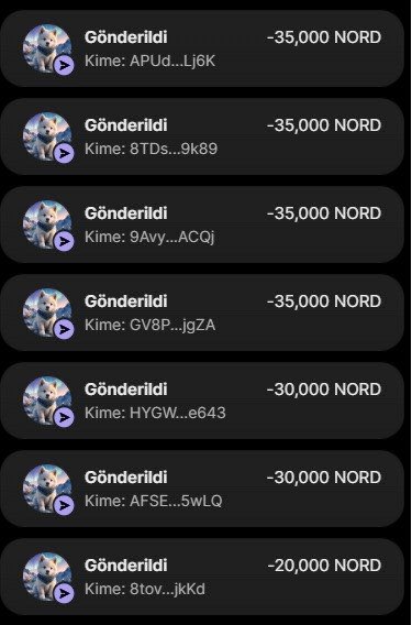 A screenshot displays a list of completed NORD token transactions, showing multiple "Gönderildi" (Turkish for "Sent") entries of -35,000 NORD, -30,000 NORD, and -20,000 NORD sent to partially redacted wallet addresses (e.g., "APud...Lj6K", "8Tds...9k89"), with recipients totaling over 215,000 NORD across the visible transactions, seemingly serving as proof of an active $NORD airdrop distribution.
