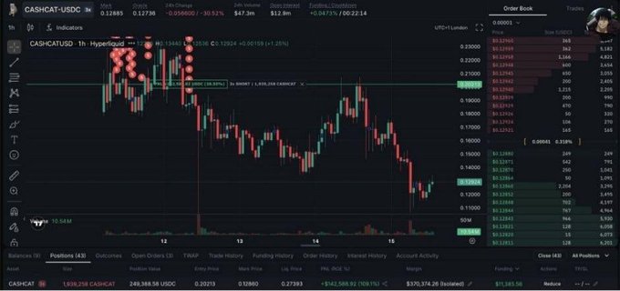 The image shows a trading chart for CASHCAT-USD on the Hyperliquid exchange, displaying a candlestick chart with an order book panel, showing the token's price decline from around $0.22 to $0.13 over the past several days. The chart visually supports the post's narrative of CASHCAT's 2% drop since listing, with the price action reflecting the struggle of buyers and the selling pressure described.