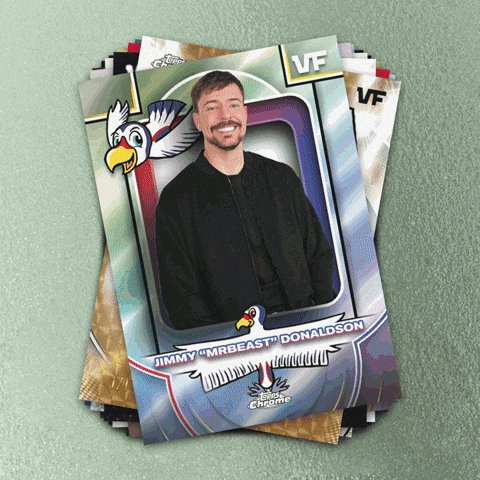 The image features a stack of trading cards, with one card prominently displayed featuring a man wearing a black jacket and a bird on his shoulder. The text "Mr. Beast" and "Donaldson" are written on this card. The rest of the cards in the stack also have various designs and colors, making them visually appealing to collectors or fans of the character Mr. Beast from the TV show "The Office".