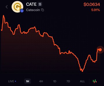 A trading chart for Catecoin (CATE) showing a steep price decline at $0.0634, down 5.91%, on a 1H timeframe.