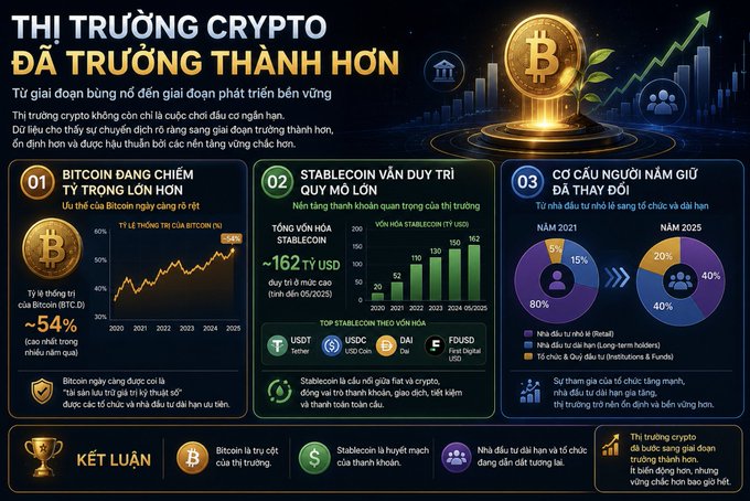 A Vietnamese-language crypto market infographic titled "THỊ TRƯỜNG CRYPTO ĐÃ TRƯỞNG THÀNH HƠN," discussing Bitcoin's market dominance (~54%), stablecoin market cap (~$162B USDT), and changing investor demographics.