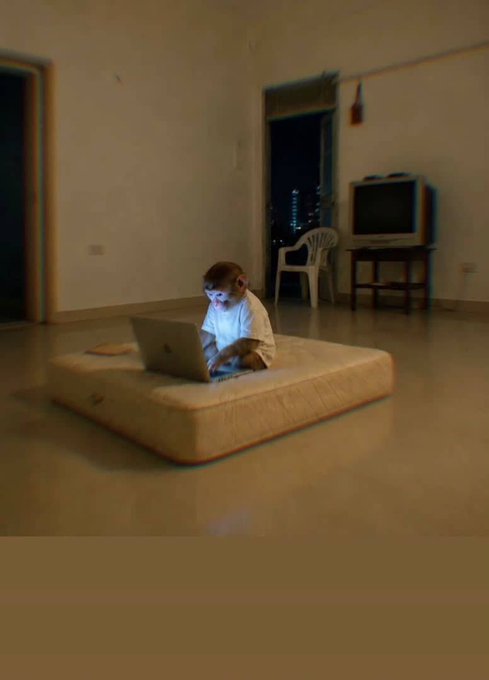 A young child sits on a beige floor cushion in a dimly lit room, engrossed in a glowing laptop that illuminates their face. The image captures an early lesson in curiosity and learning, echoing the message that those who start exploring knowledge early—like this young learner absorbed by a screen—will be the ones prepared to lead tomorrow.