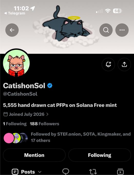 This is a screenshot of an X/Twitter profile for "CatishonSol" (@CatishonSol), which advertises "5,555 hand drawn cat PFPs on Solana Free mint" and was joined in July 2026 with 188 followers. The profile aligns with the post's mention of an early freemint alpha on Solana, highlighting the project's 5,555 supply for potential minting.