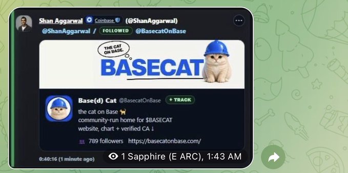 A screenshot of a social media post from '@ShanAggarwal' featuring the 'Base(d) Cat' meme with the text 'THE CAT ON BASE' and 'BASECAT', showing 789 followers.