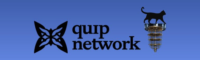 Logo for 'quip network' featuring a stylized butterfly icon next to a black cat perched on top of a brass ceiling fixture against a blue background.