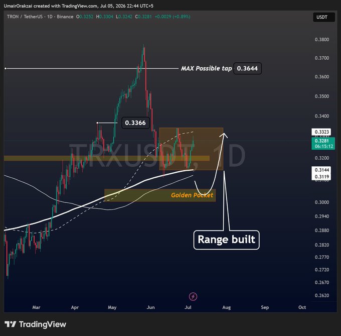 A TradingView chart of TRON/TetherUS (TRX/USDT) on Binance's daily timeframe shows price consolidating within a "Range built" zone above the "Golden Pocket" support area (around $0.3119-$0.3144), with annotations indicating a "MAX Possible top" at $0.3644 and recent resistance at $0.3366, supporting the post's view that bullish consolidation above the golden pocket suggests further upside potential.