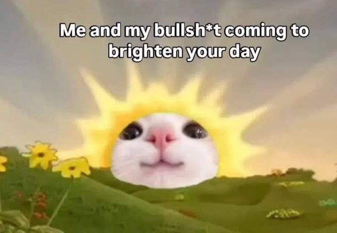 A meme image shows a smiling white cat styled with a bright yellow sunburst, with the text: “Me and my bullish*t coming to brighten your day.”