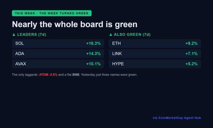 Section titled 'Nearly the whole board is green' showing weekly leaders: SOL +16.3%, ADA +14.3%, AVAX +10.1%, and also green ETH +9.2%, LINK +7.1%, HYPE +5.2%, with laggards ATOM -2.5% and BNB flat.
