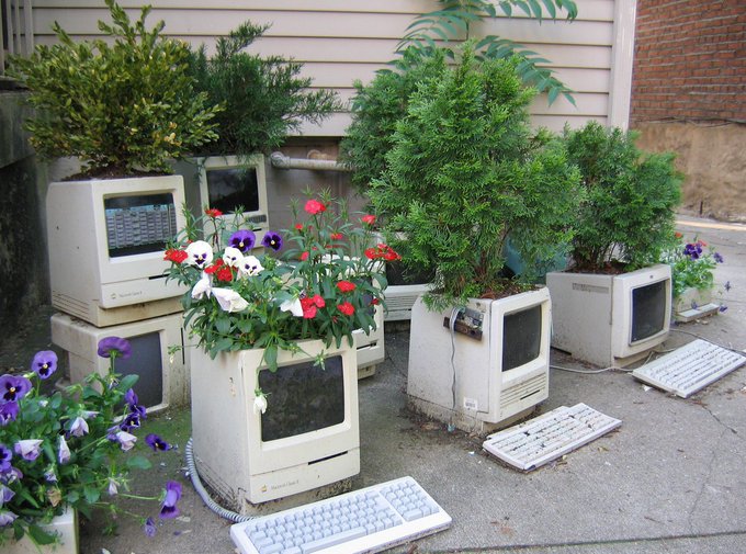 A creative outdoor garden display where old CRT computer monitors and keyboards are repurposed as planters, holding various green plants and colorful flowers including red and purple blooms.