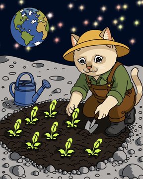 A cartoon cat wearing an explorer hat and overalls plants seedlings in lunar soil beneath a starry sky with Earth visible in the background, accompanied by a blue watering can—symbolizing the long-term, visionary investment in $CASHCAT, where each small seedling represents a "proof of work" planting today that will grow into a worldwide harvest tomorrow.