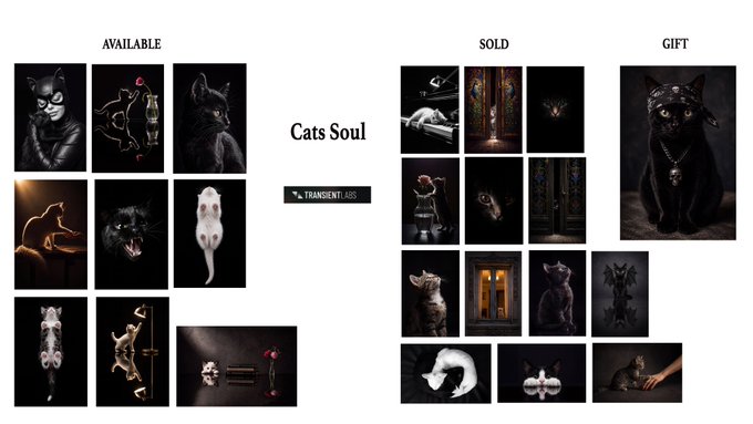 A portfolio showcase for 'Cats Soul' featuring available, sold, and gift collections of black and white cat-themed digital artworks.