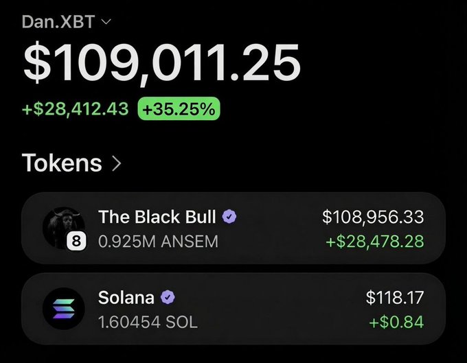 A crypto portfolio screen for Dan.XBT showing a total of $109,011.25 (+$28,412.43, +35.25%), including holdings in 'The Black Bull' (ANSEM) and Solana.