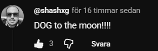 A YouTube comment from user @shashxg posted 16 hours ago reading 'DOG to the moon!!!!' with 3 likes, shown in Swedish interface language.