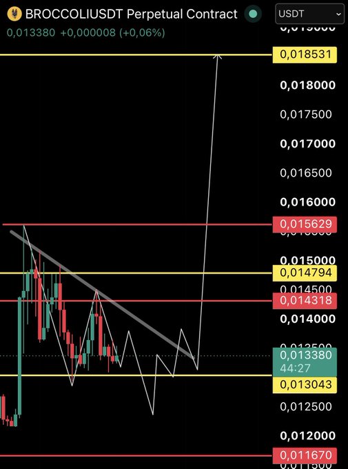 A trading chart of the BROCCOLIUSDT perpetual contract showing price action consolidating around 0.013380 (+0.06%), with key resistance levels marked at 0.013043, 0.014318, 0.014794, 0.015629, and 0.018531, and an upward projected arrow targeting the 0.015629 level, visually supporting the post's bullish outlook that buyers will drive the price higher after the recent breakout above 0.013.