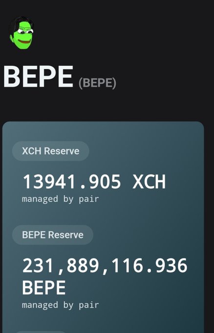 A dark-themed crypto dashboard for 'BEPE (BEPE)' showing an XCH Reserve of 13941.905 XCH managed by pair and a BEPE Reserve of 231,889,116.936 BEPE managed by pair.
