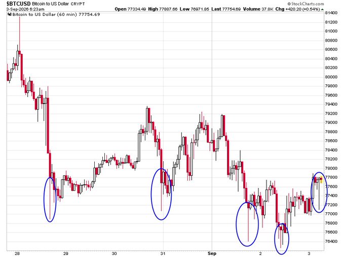 A StockCharts.com candlestick chart of Bitcoin to US Dollar (BTCUSD) showing a downward trend from late August to early September 2026, with several circled patterns highlighting price movements.