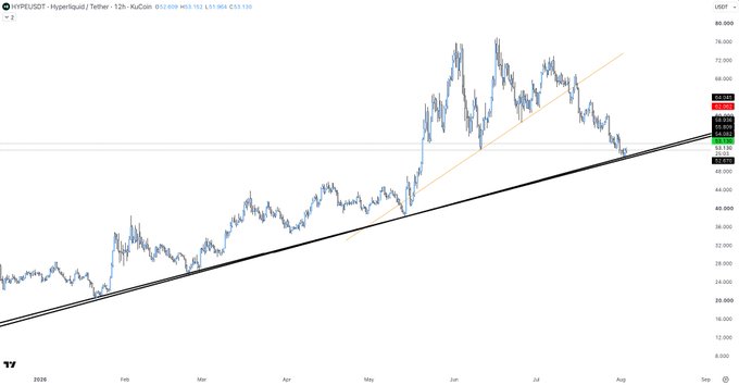 A TradingView chart of the cryptocurrency pair HYPE/USDT on Hyperliquid shows a sharp rally peaking near $80 in June, followed by a pullback toward a rising trendline around $55–$57 (current price $53.13), illustrating the indecisive setup referenced by the post's question "What do we do with this?".