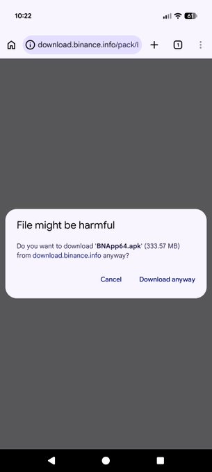 A mobile phone screenshot showing a browser warning 'File might be harmful' for downloading 'BNApp64.apk' (333.57 MB) from 'download.binance.info/pack/'.