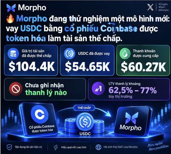 An infographic in Vietnamese about Morpho DeFi, stating it is piloting a model of borrowing USDC using tokenized Coinbase stock as collateral, showing $104.4K collateral value, $54.65K USDC borrowed, and 62.5%-77% liquidation LTV.