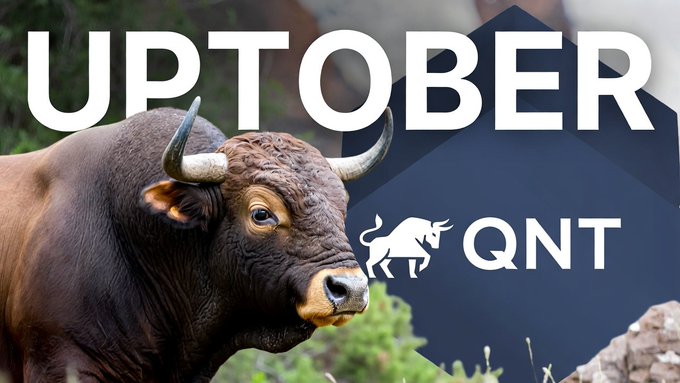 A promotional graphic featuring a brown bull with large horns, alongside the large white text "UPTOBER" and a logo for "QNT" (Quant).