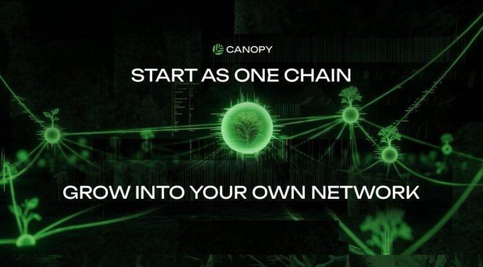 A dark green graphic featuring the "CANOPY" logo at the top, with interconnected glowing green orbs connected by lines to illustrate a network structure. The text reads "START AS ONE CHAIN" and "GROW INTO YOUR OWN NETWORK," visually representing Canopy's concept of launching as a single chain that scales into a decentralized network where every chain becomes a builder chain rather than relying on a single base layer.