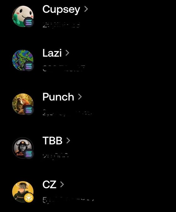 A dark mobile app screenshot displaying a contact list with profile pictures and names including Cupsey, Lazi, Punch, TBB, and CZ, each with partially obscured details below.