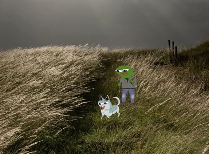 A humorous composite image showing a cartoon Pepe the Frog character standing in a grassy field next to a small white dog, holding what appears to be a leash or stick, set against a cloudy sky.