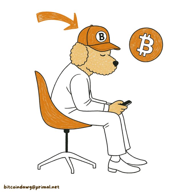 Cartoon illustration of a dog wearing an orange 'B' cap, looking at a Bitcoin coin on a smartphone, with the watermark 'bitcoindawg@primal.net'.