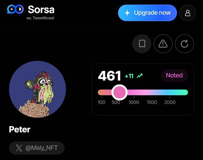 Screenshot of a Sorsa (ex. TweetScout) profile page for user 'Peter' (@Maly_NFT), showing a Sorsa score of 461 (+11), categorized as 'Noted' on a gradient scale.