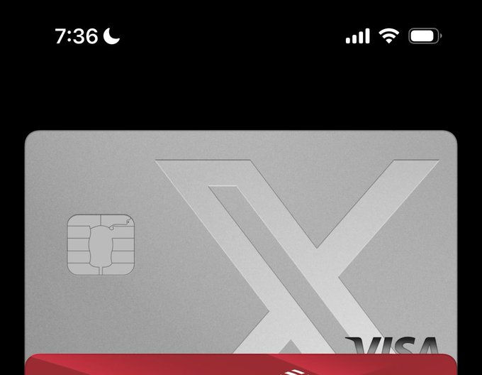A digital wallet app screenshot on an iPhone displaying a metallic silver credit card with a large 'X' logo and the word 'VISA' partially visible at the bottom.