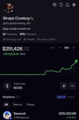 The image shows a stock chart for "Strays Cowboy" ($STRAYSCOWBOY_AU) priced at $251,426.62 with a +575% gain, despite the meme post humorously suggesting the user is closely watching a token called "$Basecat" hit all-time highs. The disconnect highlights the meme's joke about fixating on Basecat's price action while ignoring other assets.