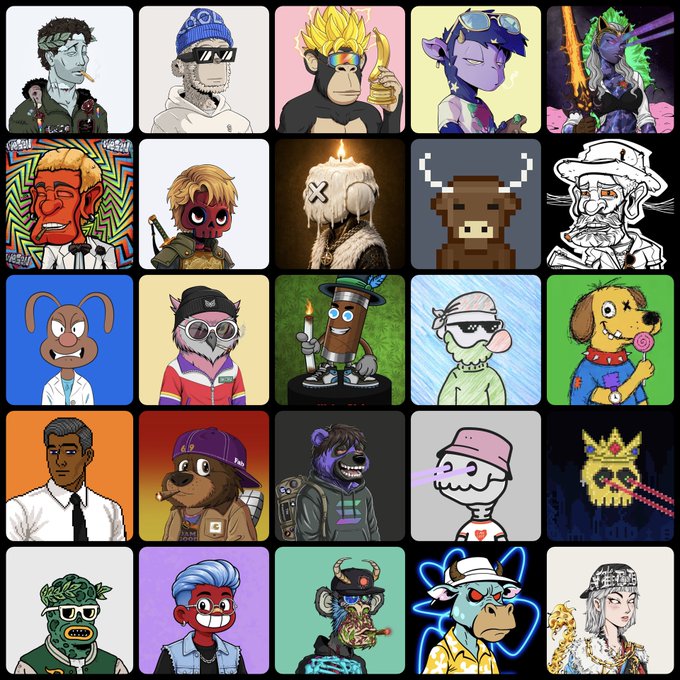 A grid of 25 NFT-style digital avatars featuring various characters including animals, humans, and stylized figures, resembling a Pudgy Penguins or similar profile picture collection.