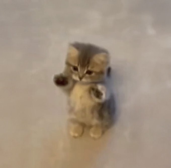 A blurry, low-resolution photo of a small cat figurine or plush toy with gray and tan markings, standing on its hind legs with its paws raised.