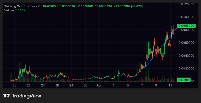 The image shows a TradingView chart for "Thinking Cat - 1h -fomo" with the ticker $THINKCAT, displaying price data O:0.0078680, H:0.0086896, L:0.0078186, C:0.0086290, showing a +9.67% gain with the price reaching a recent high of 0.0086290 on volume of 16.16K. This visualizes the post's claim of a new all-time high (ATH) for the token, supporting the author's boast about the price pump while only having around 3,000 holders at an $8.6M market cap, reinforcing their assertion that early investors "thought" rather than "coped."