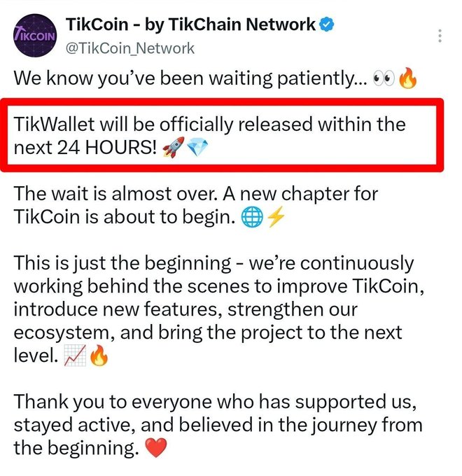 A tweet from TikCoin - by TikChain Network (@TikCoin_Network) announces that TikWallet will be officially released within the next 24 hours, with the key announcement highlighted in a red box. The accompanying post elaborates on the launch, expressing gratitude to the community and emphasizing that "this is where the real journey starts."