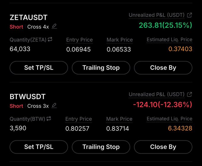 A trading interface screenshot showing two short positions: ZETAUSDT with an unrealized P&L of +263.81 USDT (+25.15%) and BTWUSDT with -124.10 USDT (-12.36%), each displaying entry price, mark price, and estimated liquidation price.