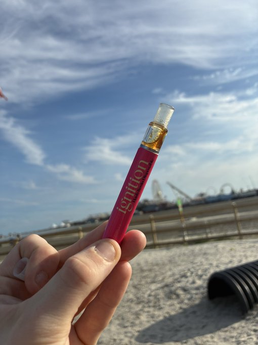 The image depicts what appears to be an item or accessory labeled "NFT Ignition", the holder is text that reads, "Use code ItsOKToDieV15". The image relates to the given post, and they go hand in hand. Without further context, its role in enhancing the Wild Wood experience with NFT technology or digital collectibles associated with an event or brand is unclear.