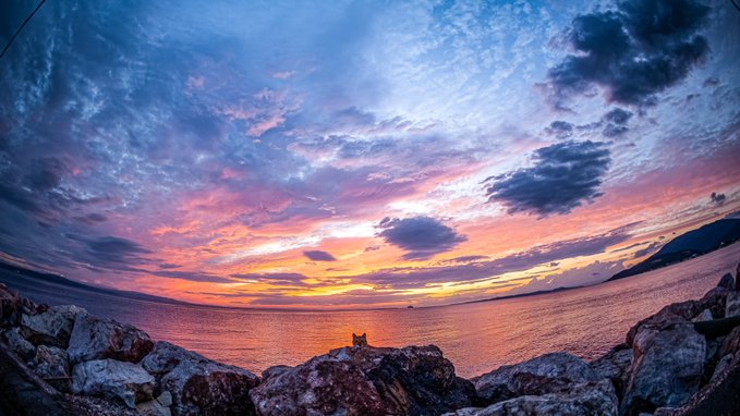 A stunning sunset over a body of water, featuring dramatic orange and pink clouds, with a cat sitting on rocks in the foreground.