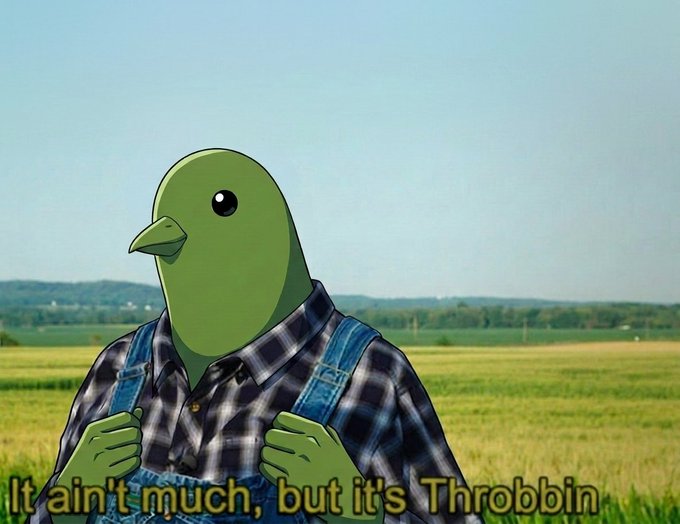 An anthropomorphic green bird wearing a plaid shirt and denim overalls stands in a rural field, with text reading "It ain't much, but it's Throbbin" at the bottom—evoking humble farmer pride that ties into the post's sentiment about Throbbin holders today.